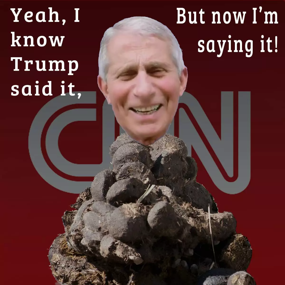 Fauci the Fraud – I know Trump said it, but now I’m saying it!