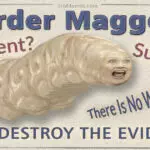 Will Murder Maggots Conquer the World?