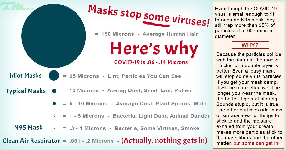 N95 masks stop some viruses but not all FB Rev 2a-1