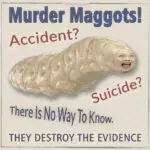 Hillary Murder Maggots